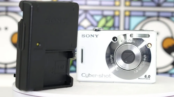 Sony W30 image