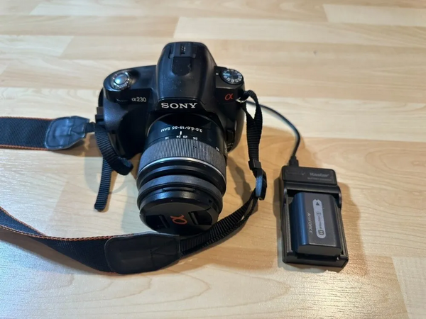 Sony Alpha 290 image