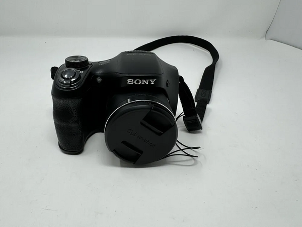 Sony H100 image