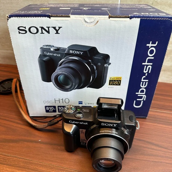 Sony H10 image