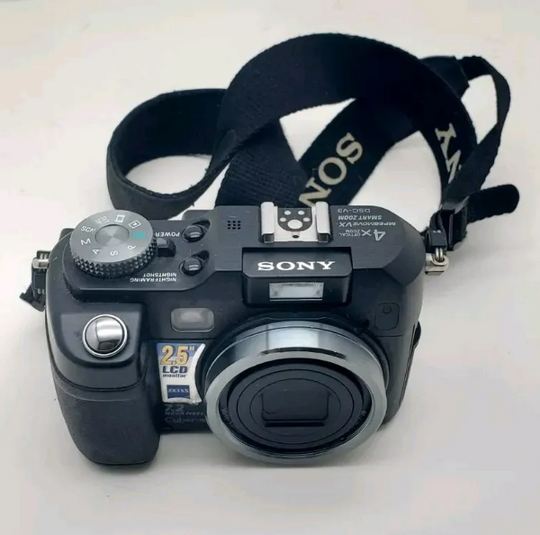 Sony DSCV3 image