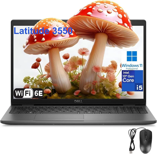 Dell Latitude image