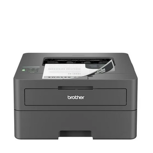 Brother HL-L2420DW image