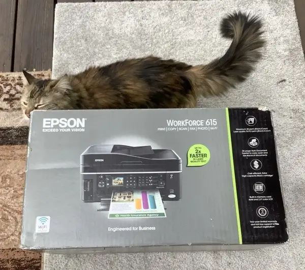 Epson Workforce 615 image