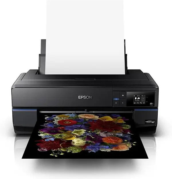 Epson P800 image