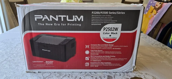 Pantum P2502w image