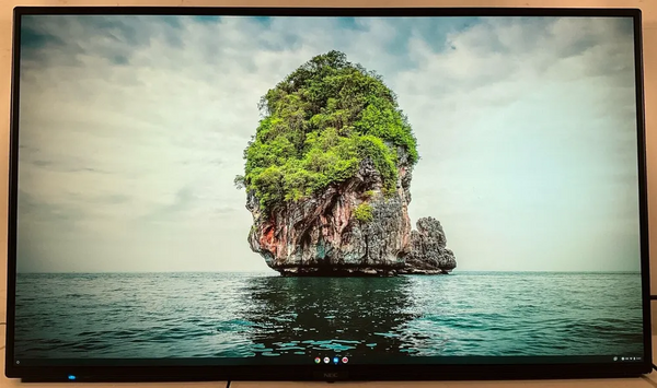 NEC MultiSync M431 image