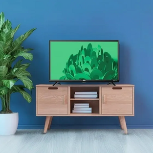 ROKU 100012590 image