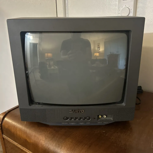 SANYO DS13310 image