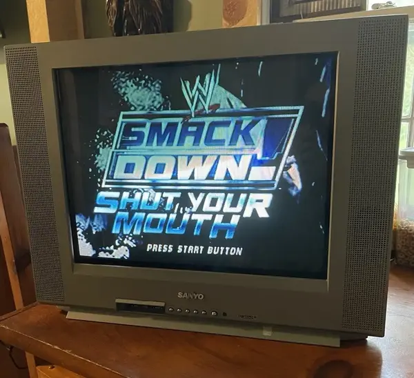 SANYO DS20424 image