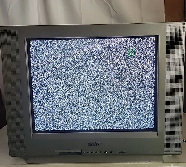 SANYO DS20930 image
