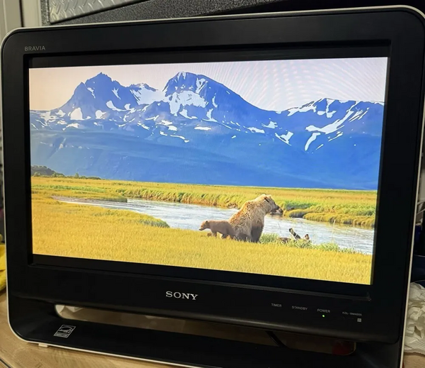 Sony Bravia kdl-19m4000 image