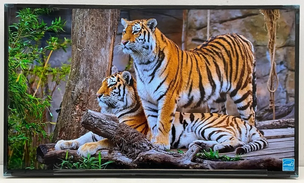 Sony Fw43bz30l image