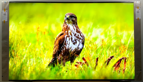 Sony Xr98x90l image