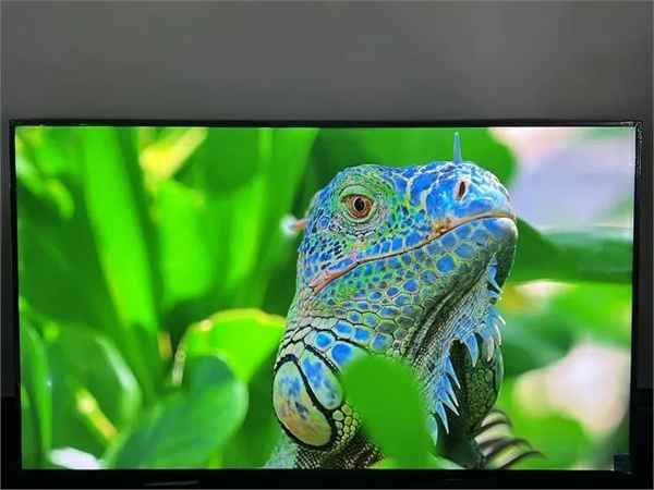 Sony BRAVIA image