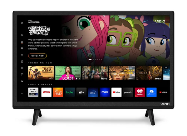 VIZIO D24f-J09 image
